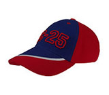 Baseball caps - DC25
